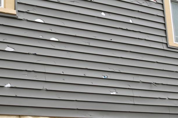 Best Property Management Cleanouts  in Lakeshire, MO